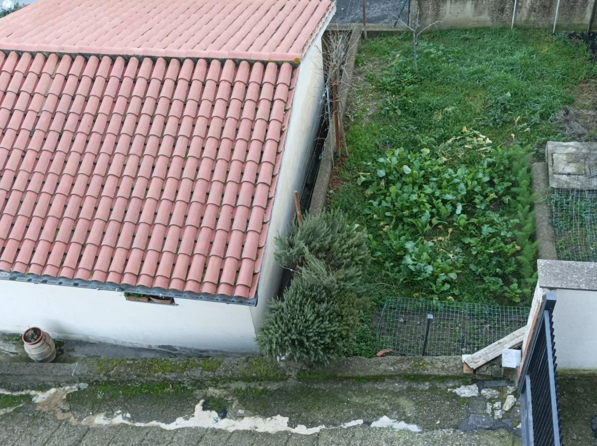 Affittacamere Piagge Ορβιέτο Εξωτερικό φωτογραφία